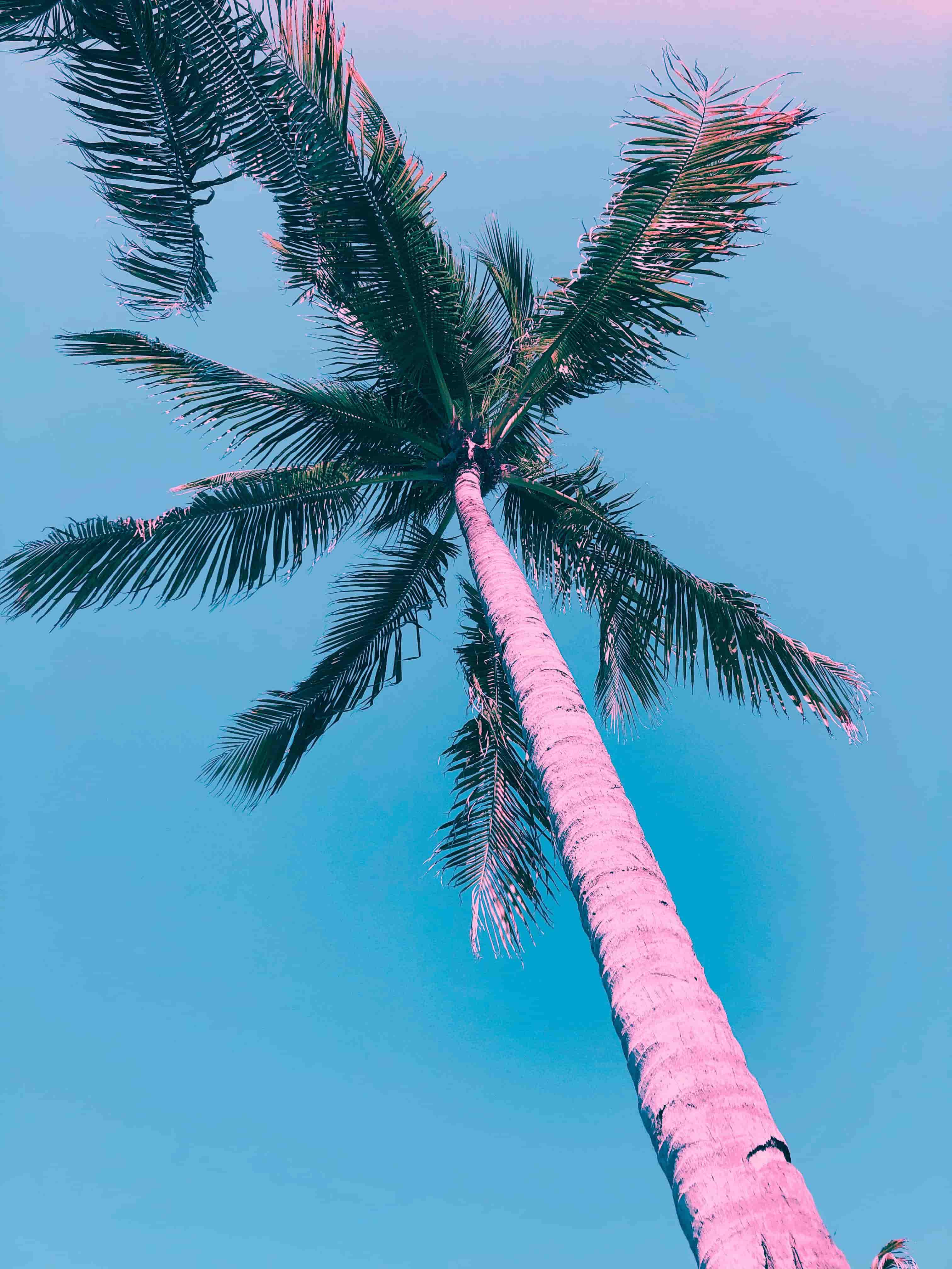 This image provides the Saturated- 1 filter to the custom tshirt image. Preview it by clicking here!
