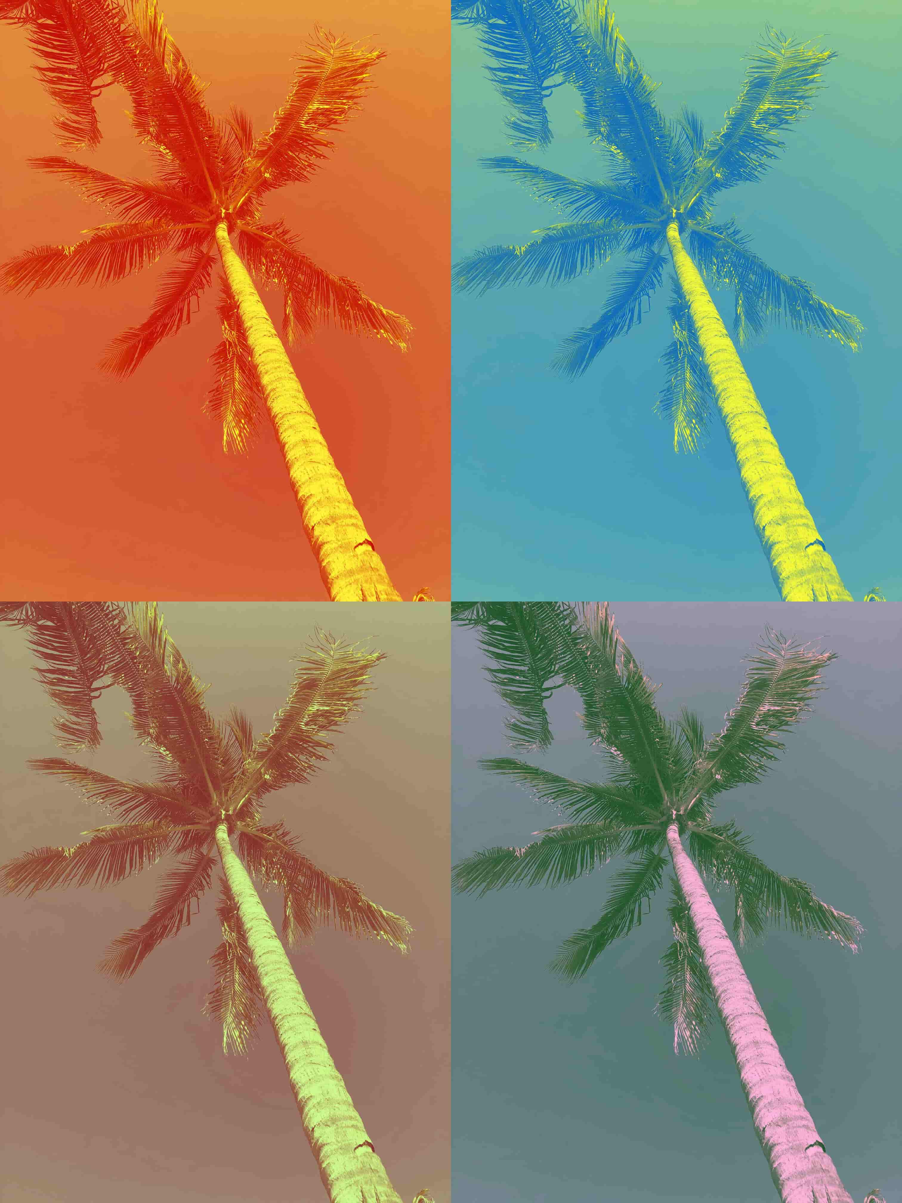 This image provides the Colors- Popart filter to the custom tshirt image. Preview it by clicking here!