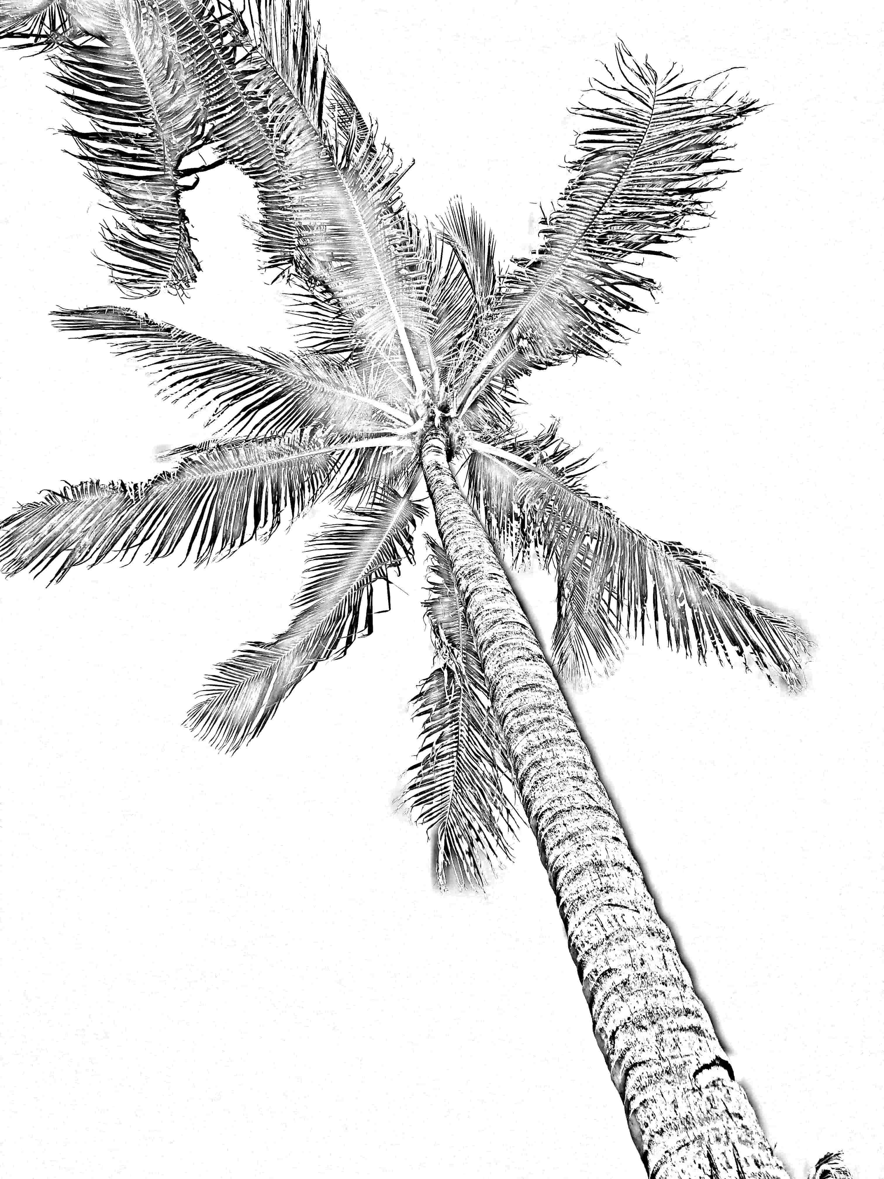 This image provides the Artistic- Sketch1 filter to the custom tshirt image. Preview it by clicking here!